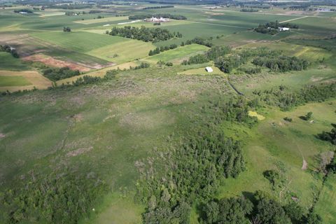 Vacant Land For Sale - TBD 215th Avenue<br/> Todd County, Long Prairie, MN 56347