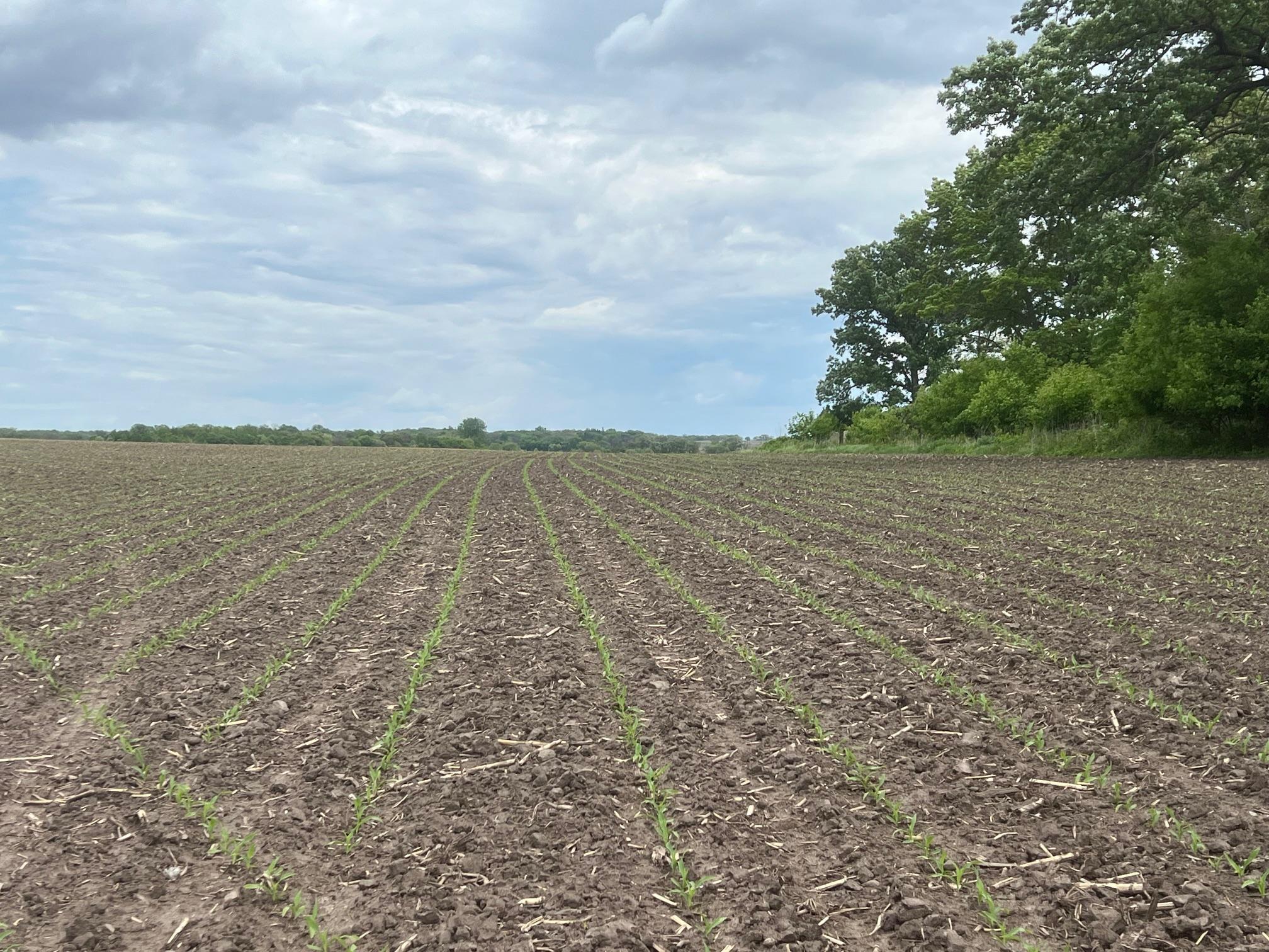 TBD Highway 56, Le Roy, Minnesota image 17