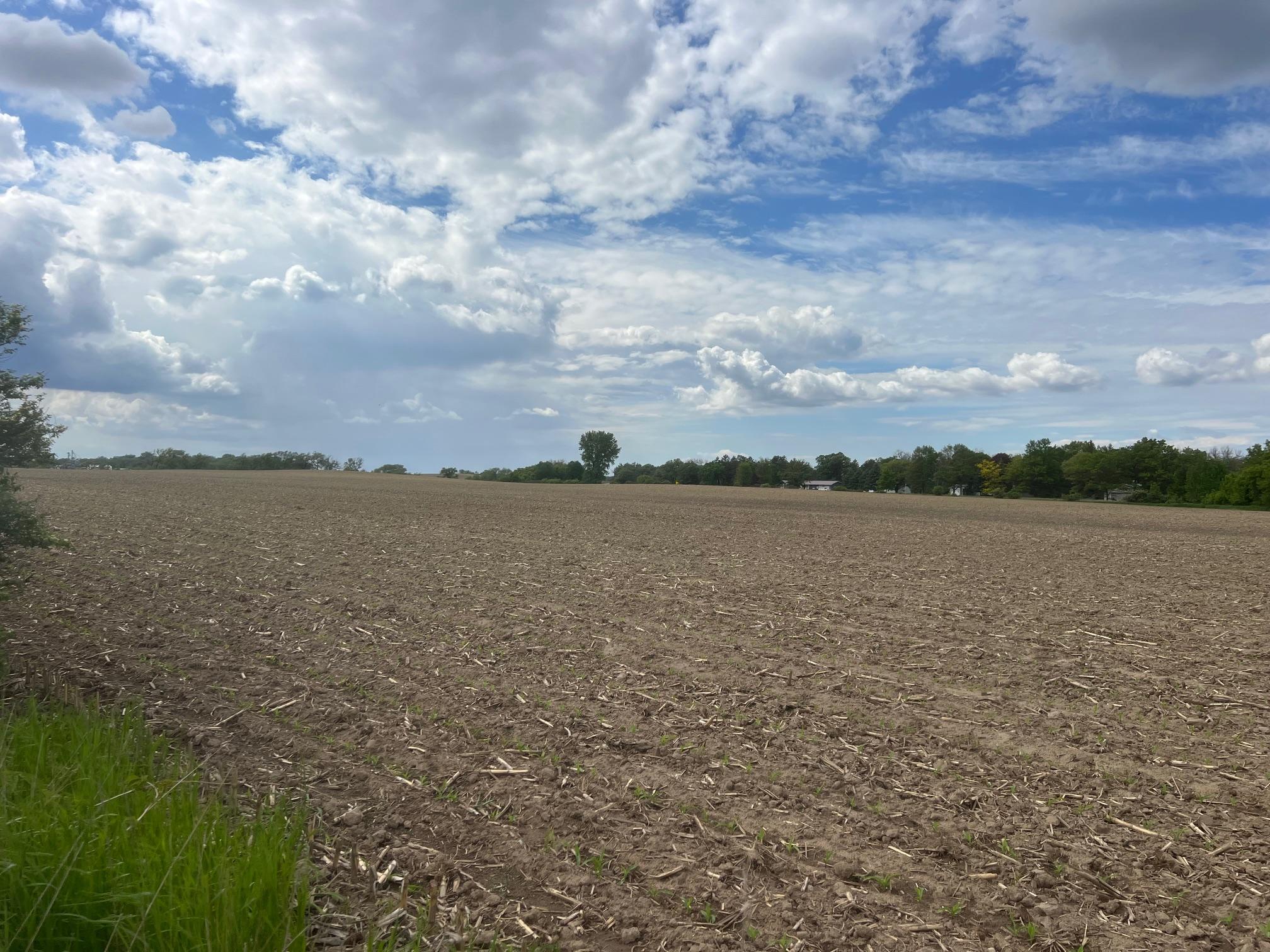 TBD Highway 56, Le Roy, Minnesota image 3