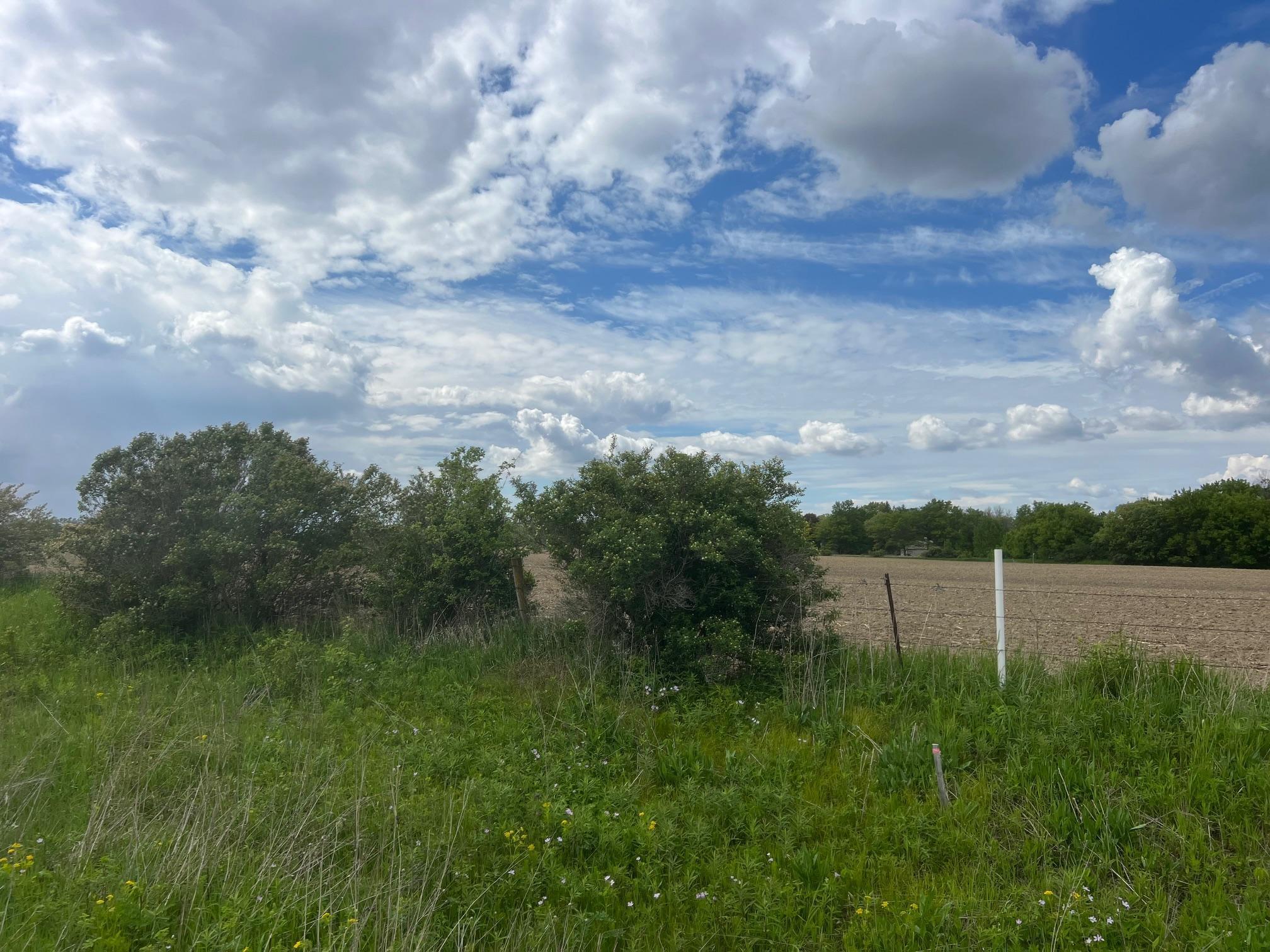 TBD Highway 56, Le Roy, Minnesota image 8