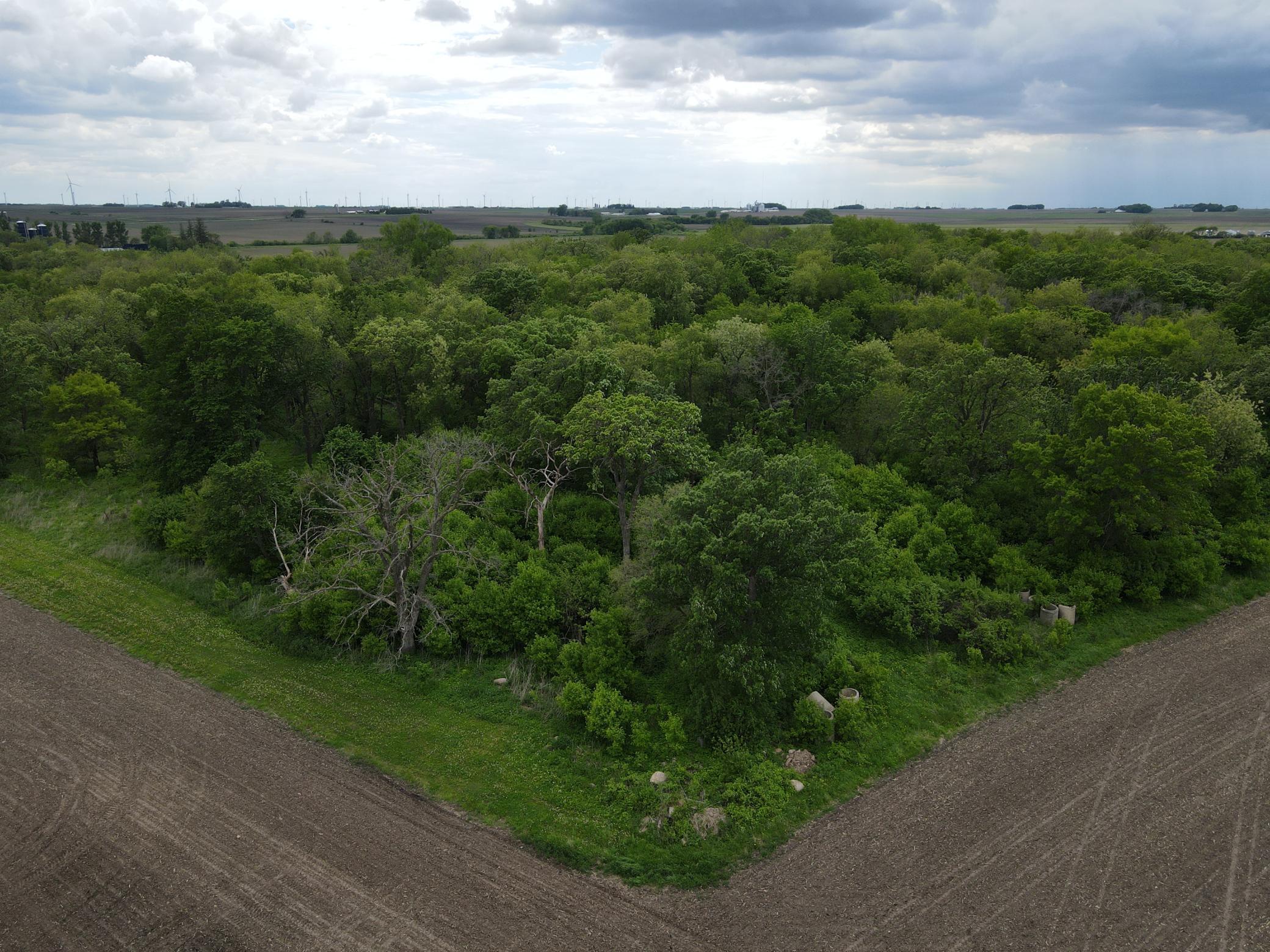 TBD Highway 56, Le Roy, Minnesota image 20