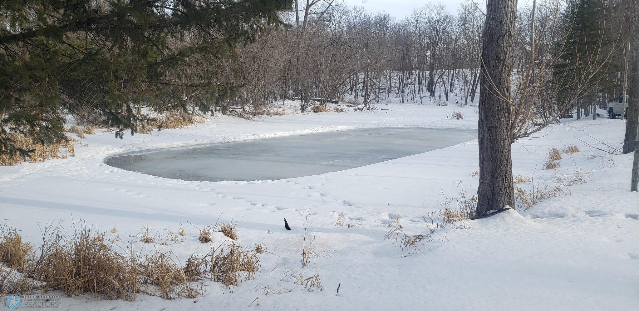 581 Shorewood Drive, Detroit Lakes, Minnesota image 32