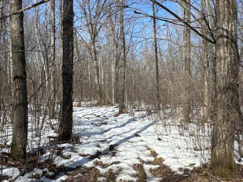Vacant Land For Sale - 27XX 11th Avenue<br/> Barron County, Chetek, WI 54728