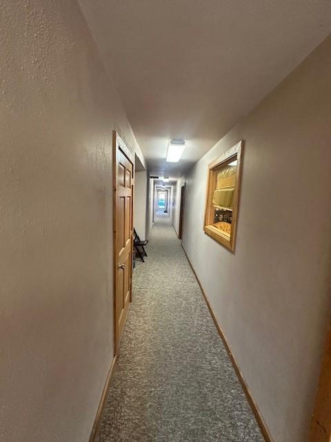 120 W Jessie Street, Rushford, Minnesota image 18