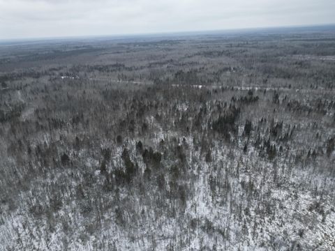 Vacant Land For Sale - TBD Us-71<br/> Koochiching County, Big Falls, MN 56627