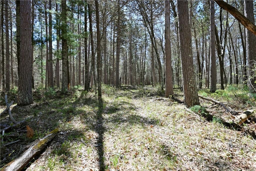 W8096 W Dunn Lake Road, Spooner, Wisconsin image 19
