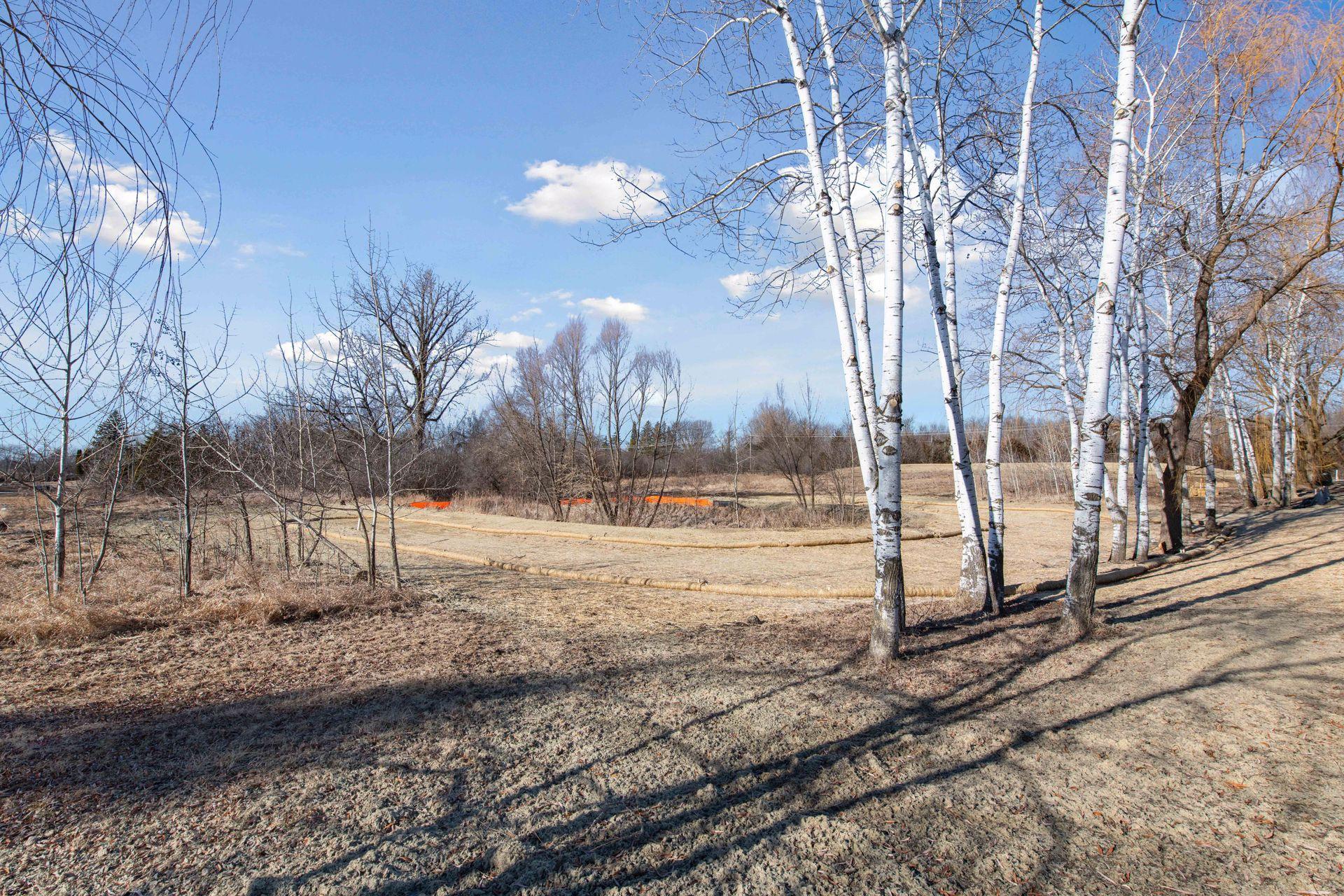995 Honey Hill, Long Lake, Minnesota image 22