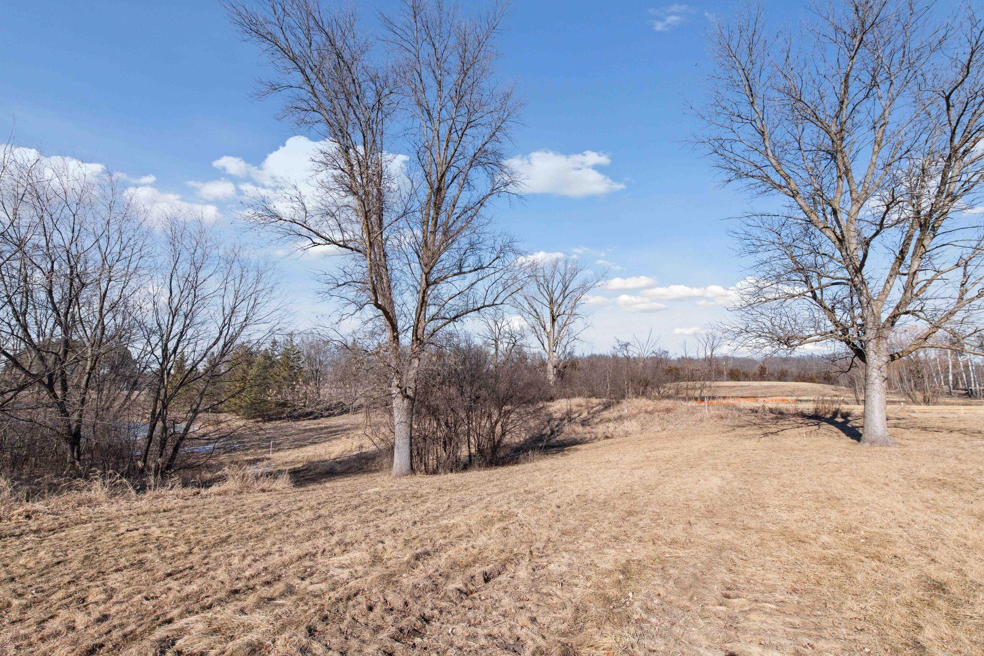 995 Honey Hill, Long Lake, Minnesota image 20