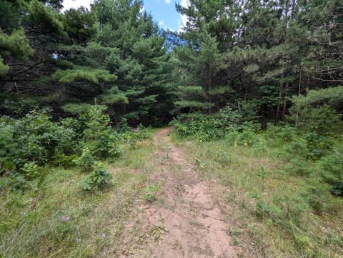 Vacant Land For Sale - LOT 5 Fosmo<br/> Webster, WI 54893
