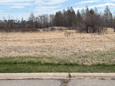 Vacant Land For Sale - LOT 9 Irvine Avenue<br/> Bemidji, MN 56601