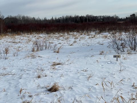 Vacant Land For Sale - LOT 9 Irvine Avenue<br/> Beltrami County, Bemidji, MN 56601