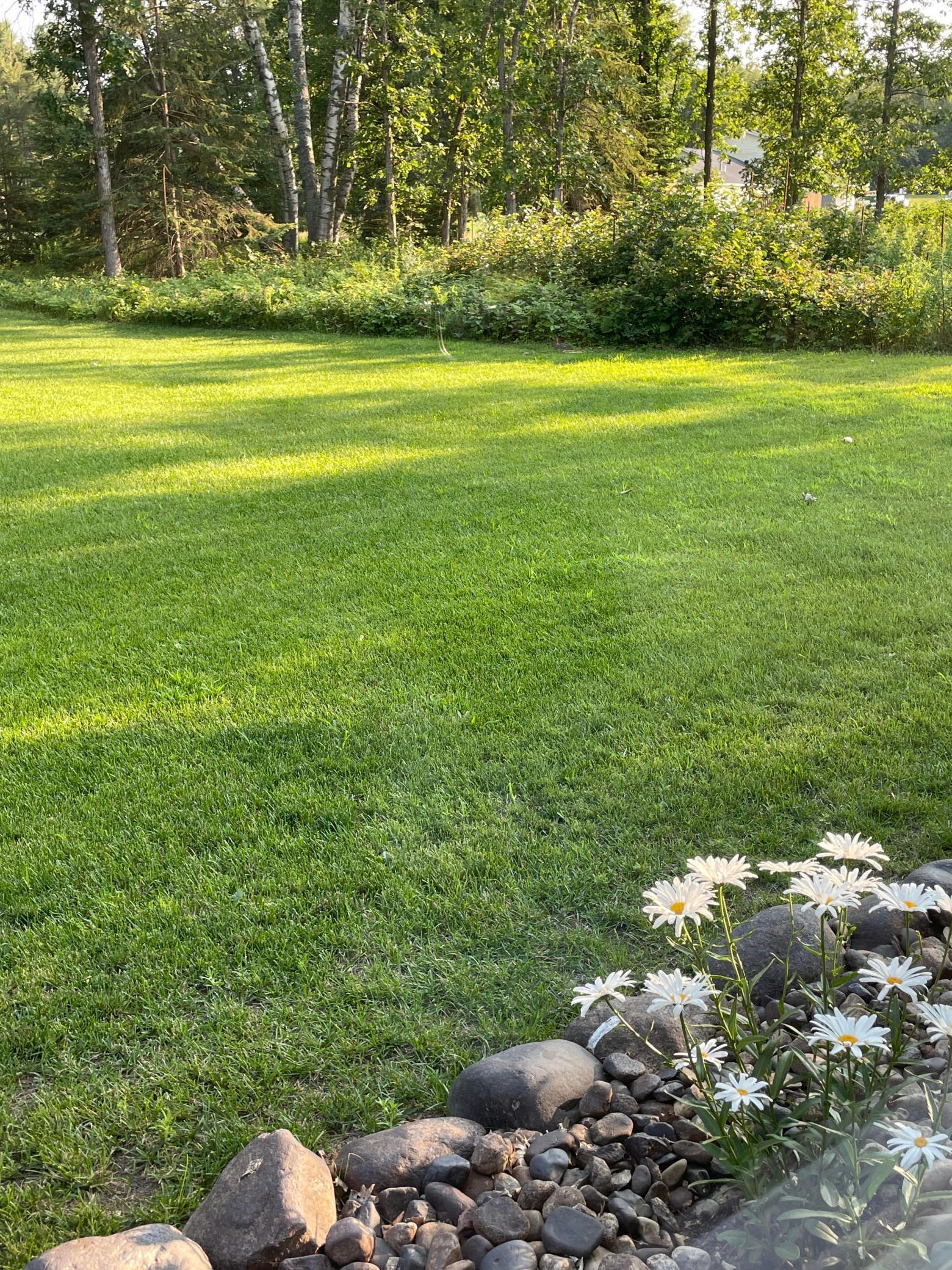 14105 Bald Eagle Trail Trl, Crosslake, Minnesota image 23