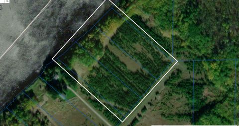 Vacant Land For Sale - TBD Town Rd. 389<br/> Koochiching County, Baudette, MN 56623