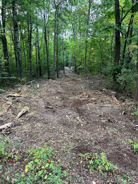 Vacant Land For Sale - 000 Maple Tree Lane<br/> Pine City, MN 55063