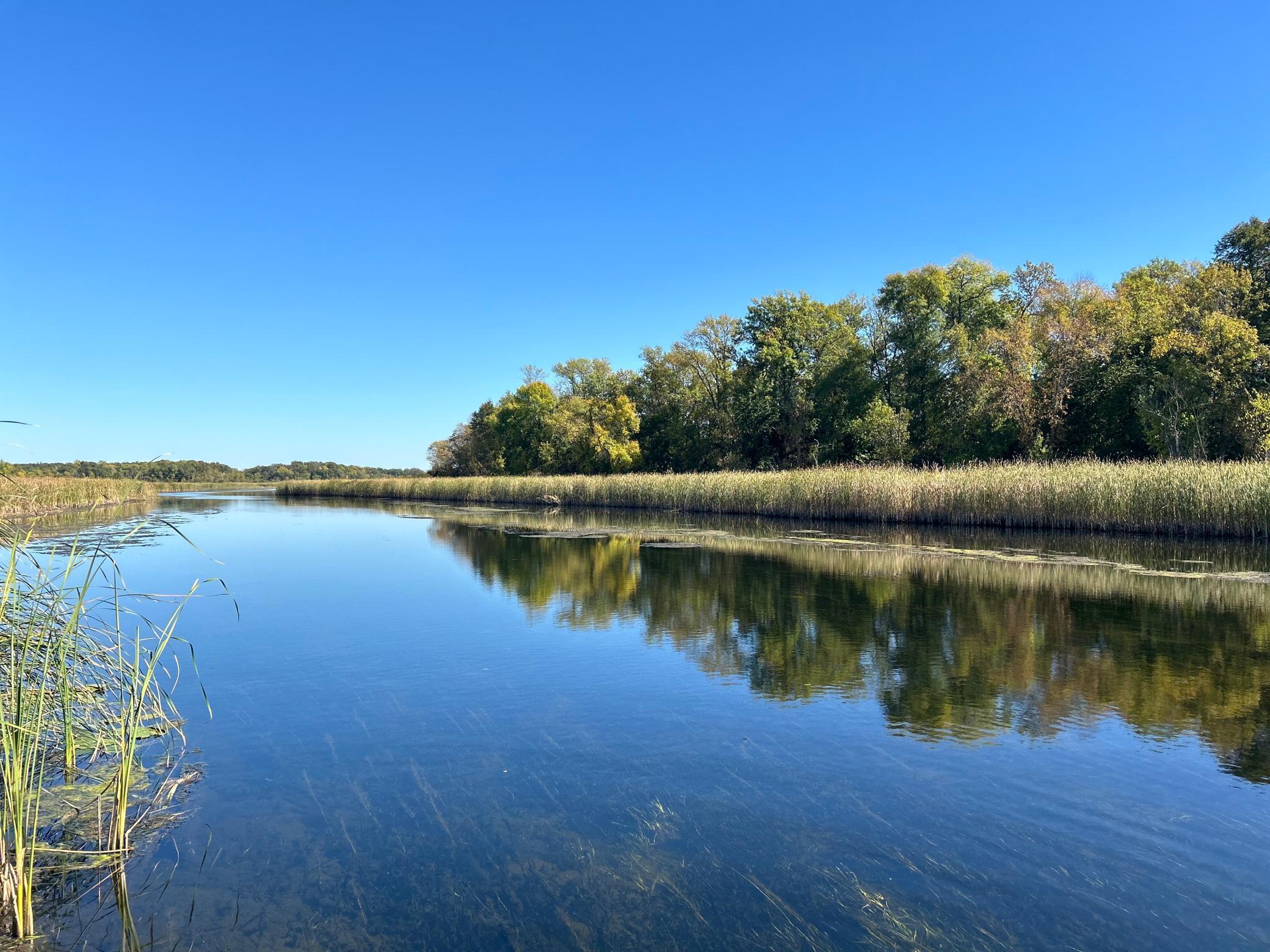 14714 Hidden River Drive, South Haven, Minnesota image 8