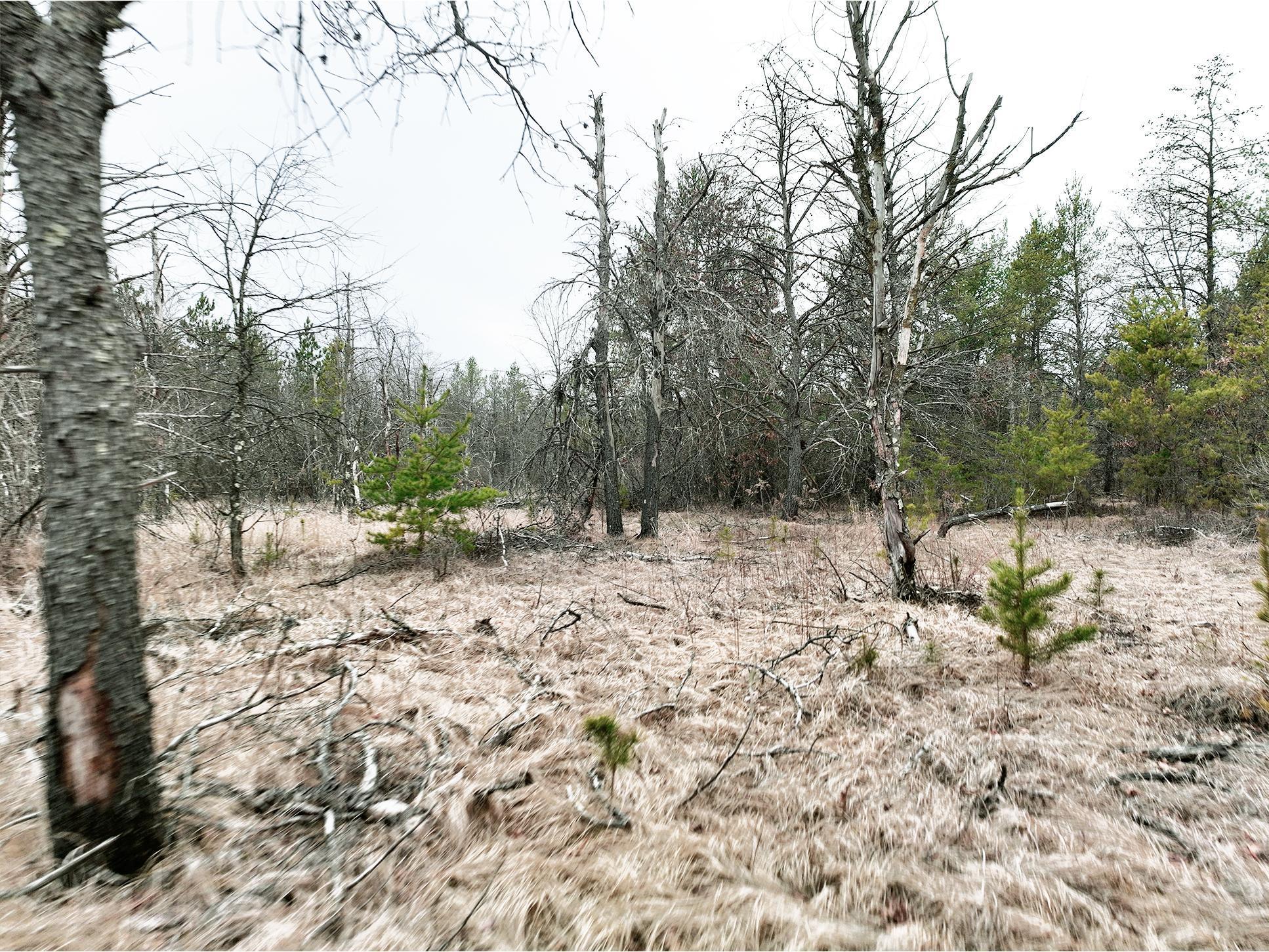1016 11th Lane, Arkdale, Wisconsin image 9