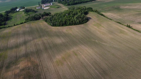 Vacant Land For Sale - TBD 250th St E<br/> Hampton, MN 55031