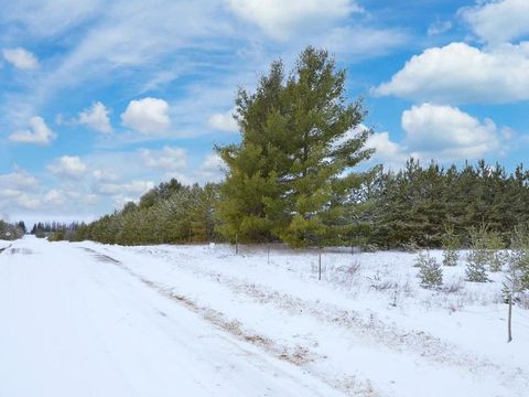 Vacant Land For Sale - XXX 170th Street<br/> Hubbard County, Park Rapids, MN 56470