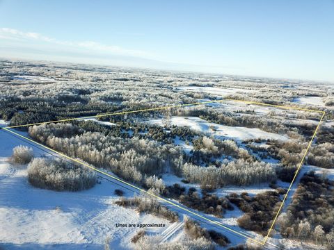 Vacant Land For Sale - TBD 161st Avenue<br/> Clearwater County, Clearbrook, MN 56634