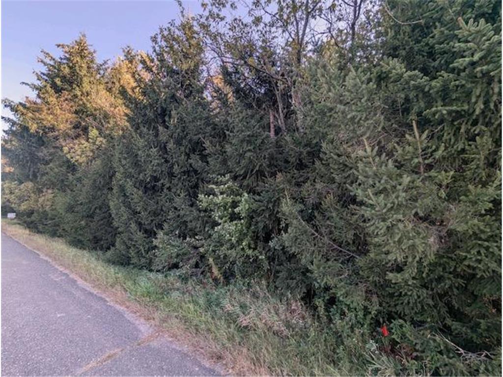 8xx 97th St, Amery, Wisconsin image 3