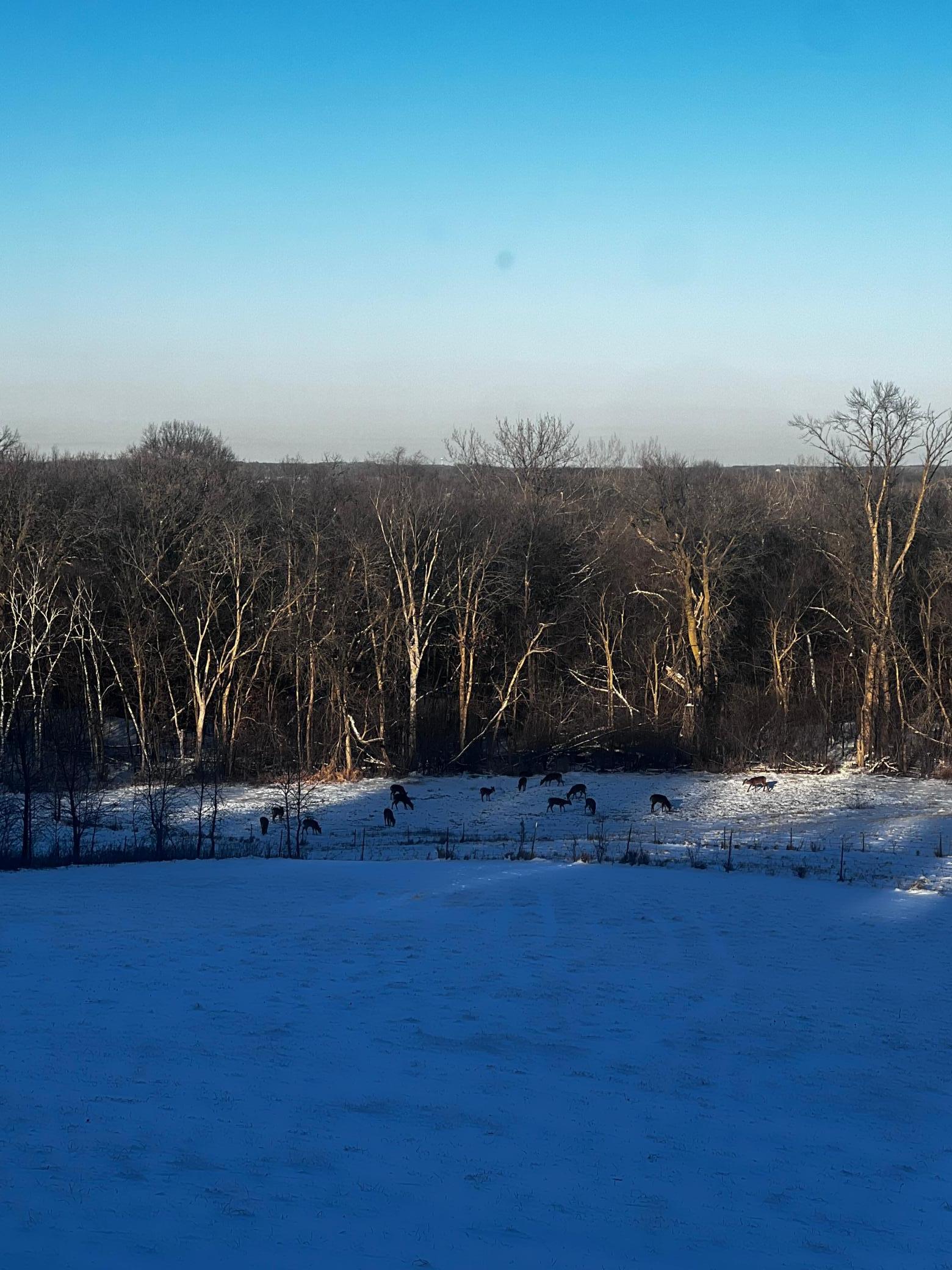 12192 210th Street, Cold Spring, Minnesota image 7