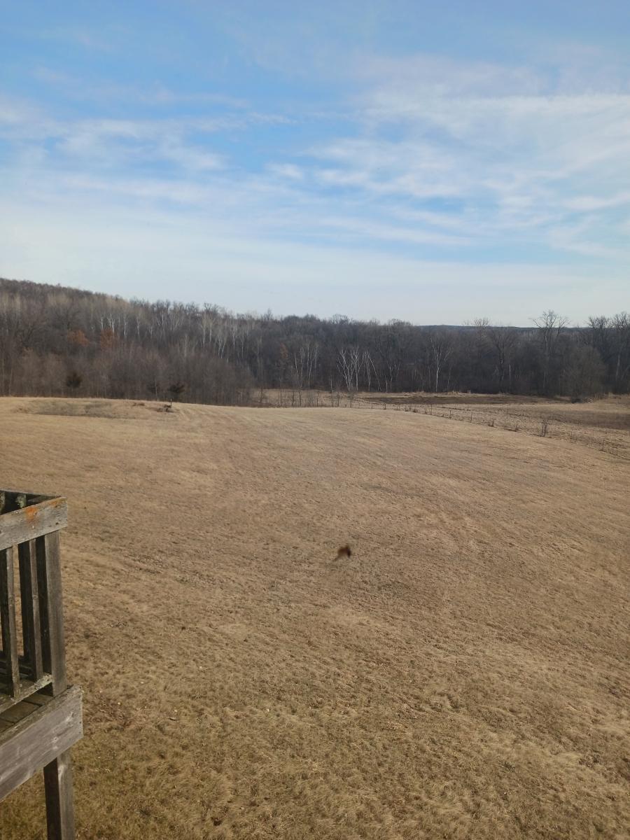 12192 210th Street, Cold Spring, Minnesota image 24