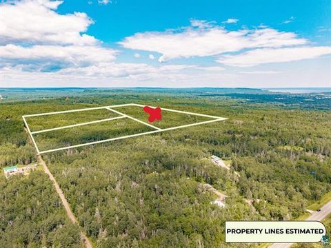 Vacant Land For Sale - X Stanley Road<br/> Two Harbors, MN 55616