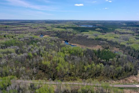 Vacant Land For Sale - 3854 Rasmussen Rd. Rd<br/> Floodwood, MN 55798