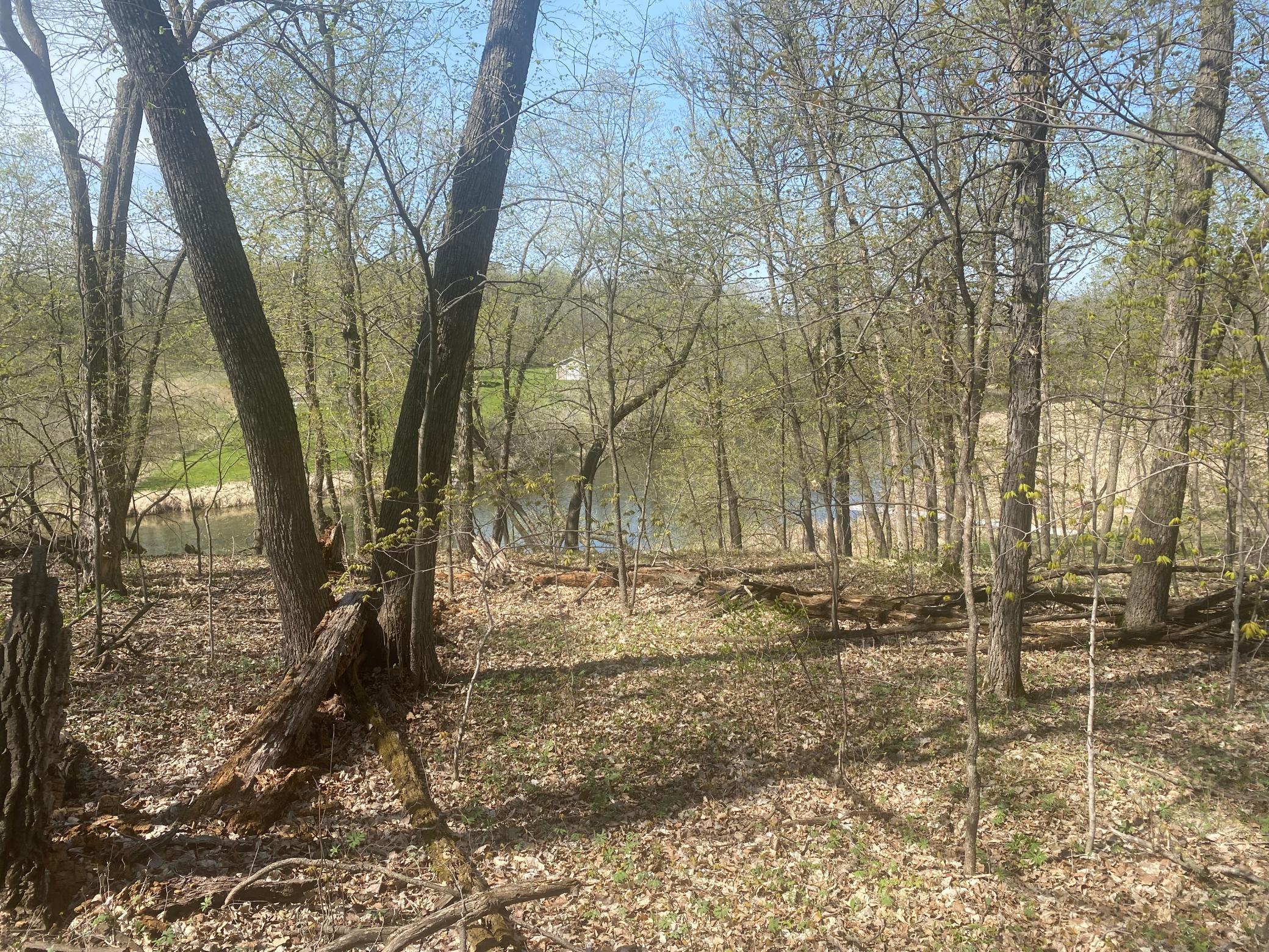 TBD River Pointe Trail, Underwood, Minnesota image 3