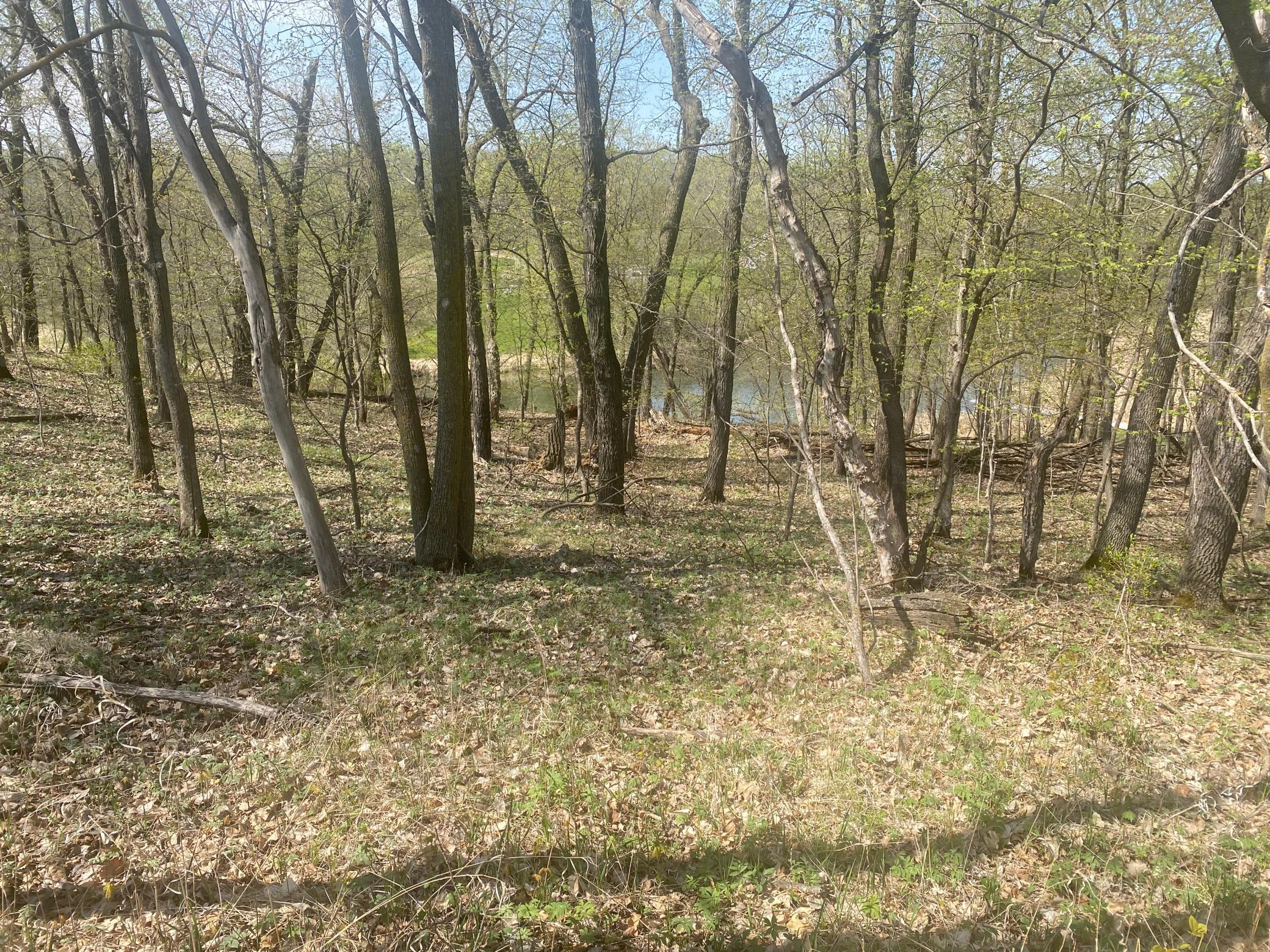 TBD River Pointe Trail, Underwood, Minnesota image 2