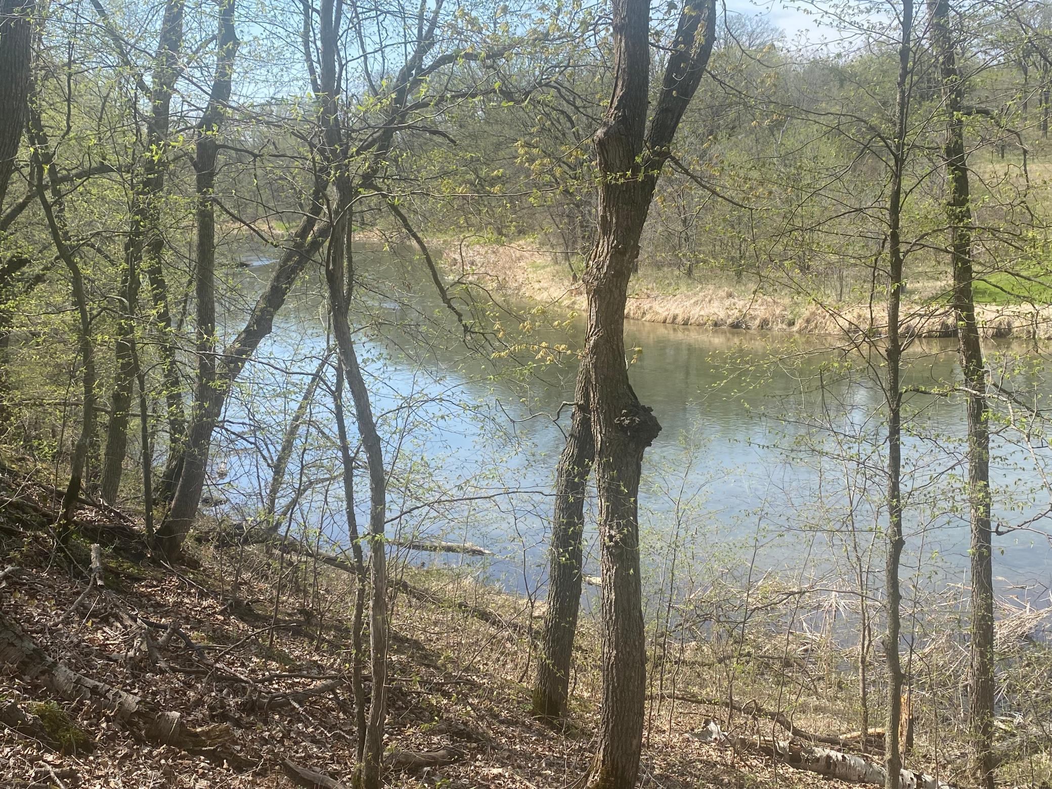 TBD River Pointe Trail, Underwood, Minnesota image 4