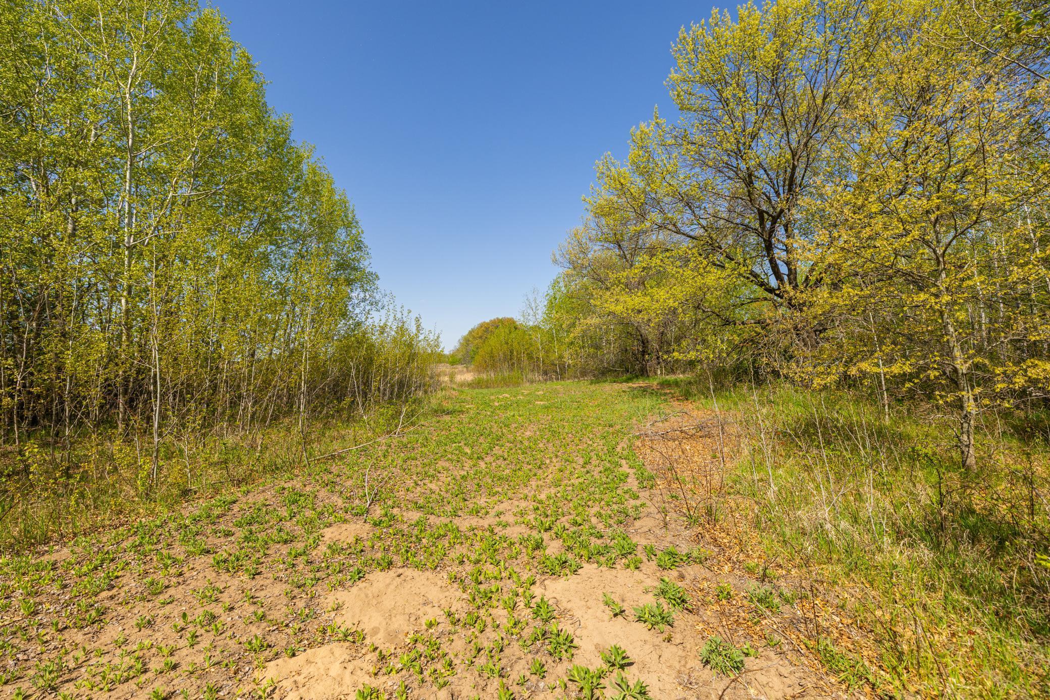 Parcel C 27+/-AC 470th Street, Harris, Minnesota image 22