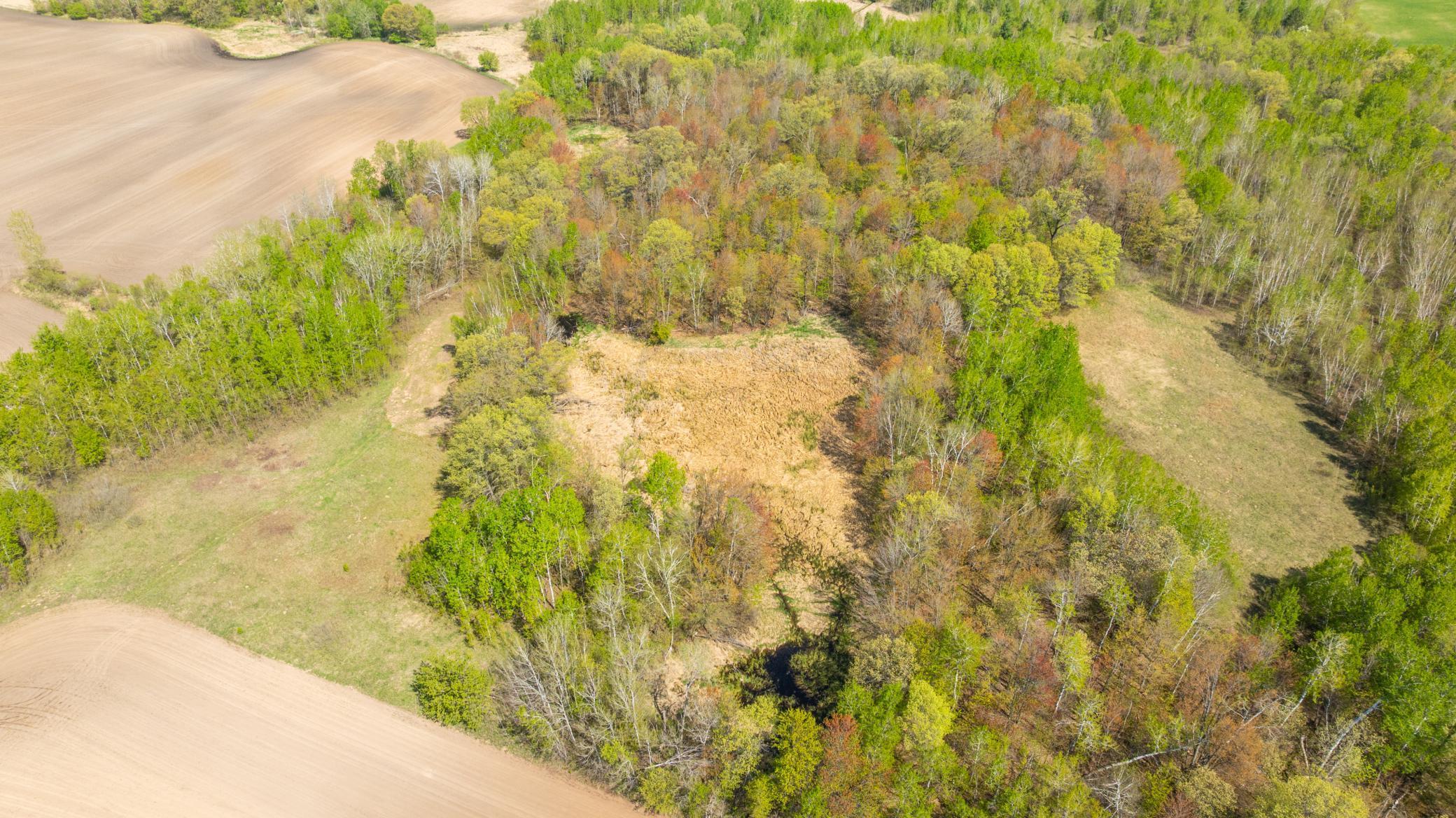 Parcel C 27+/-AC 470th Street, Harris, Minnesota image 5
