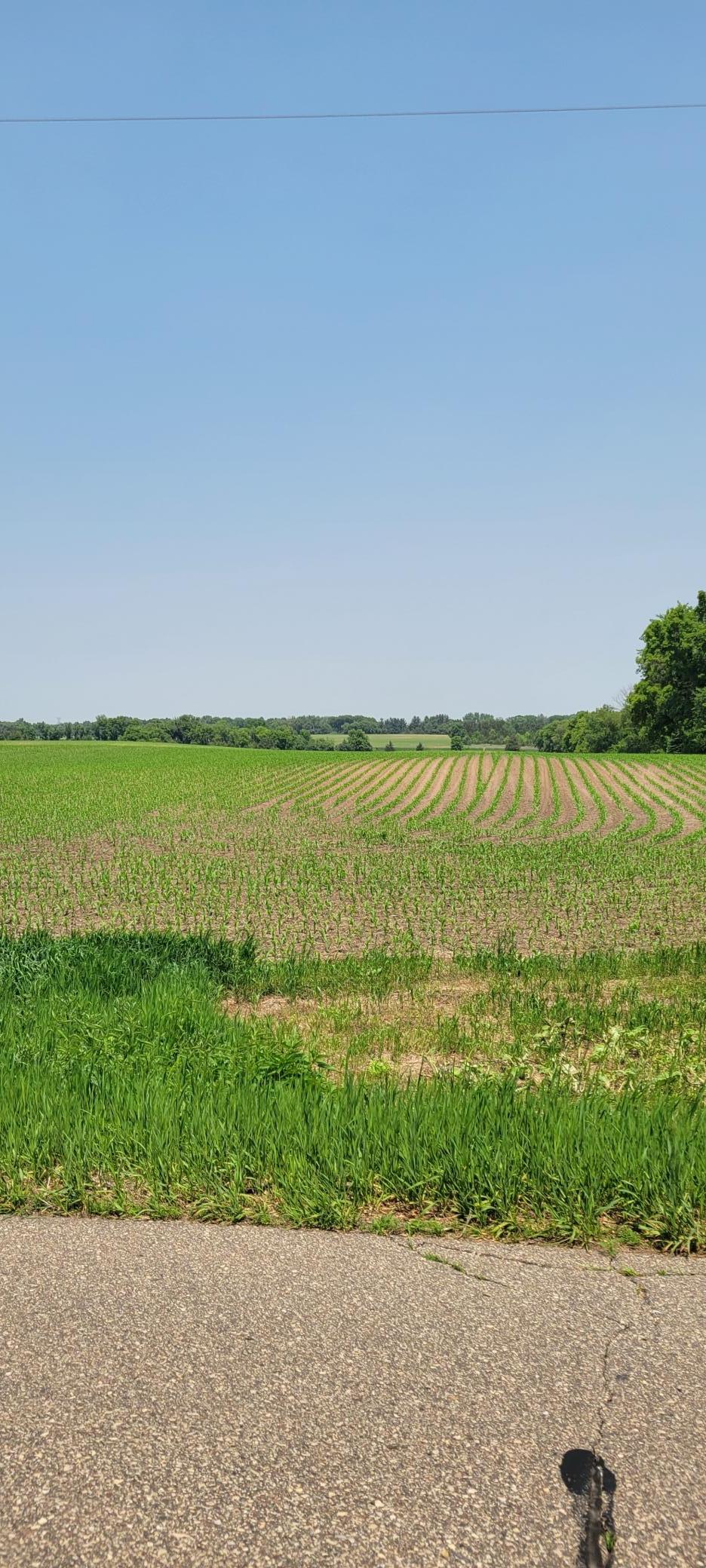 TBD 15th Street South, Afton, Minnesota image 3