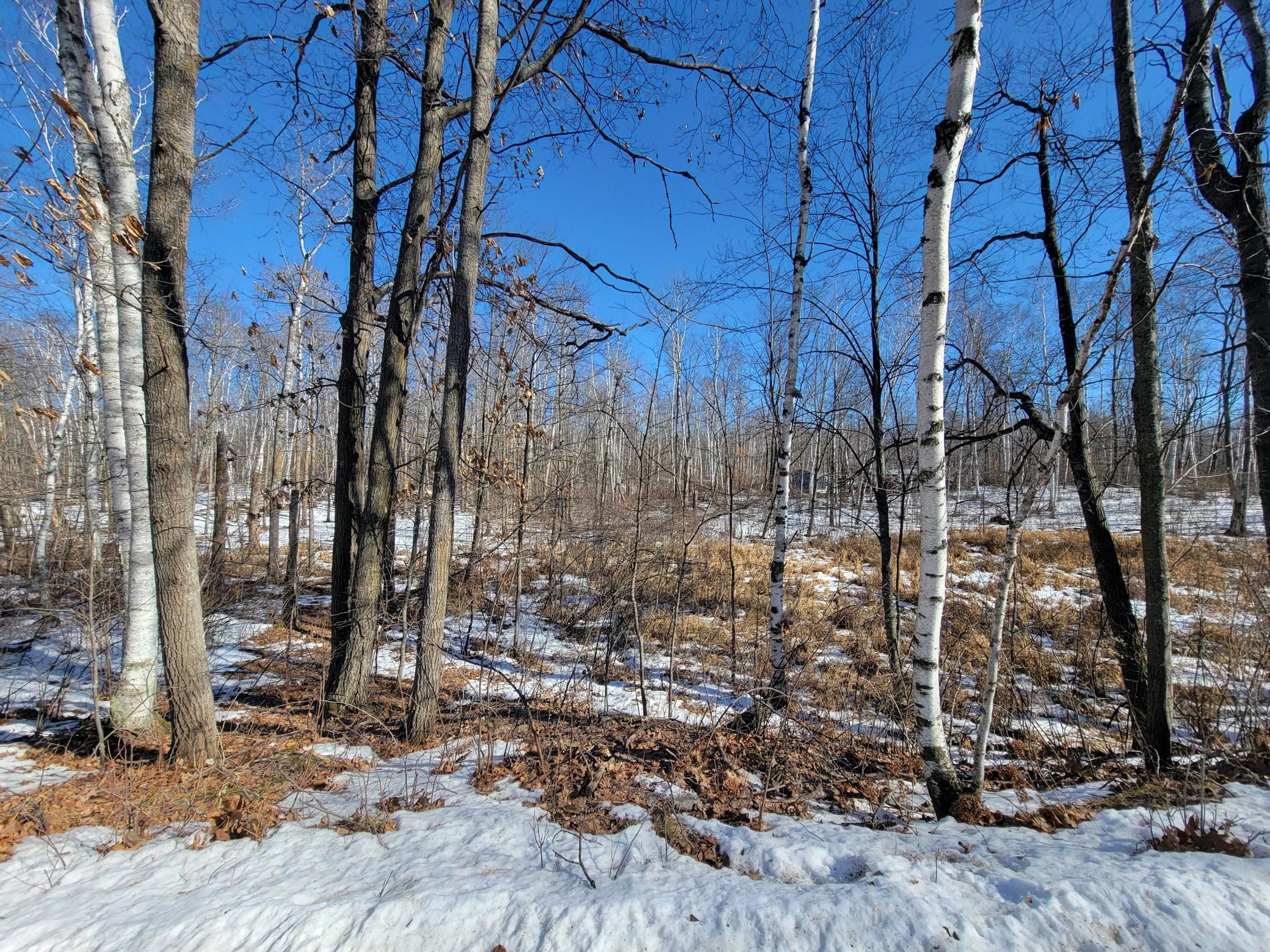 XXXX Meadow Lake Road, Motley, Minnesota image 11