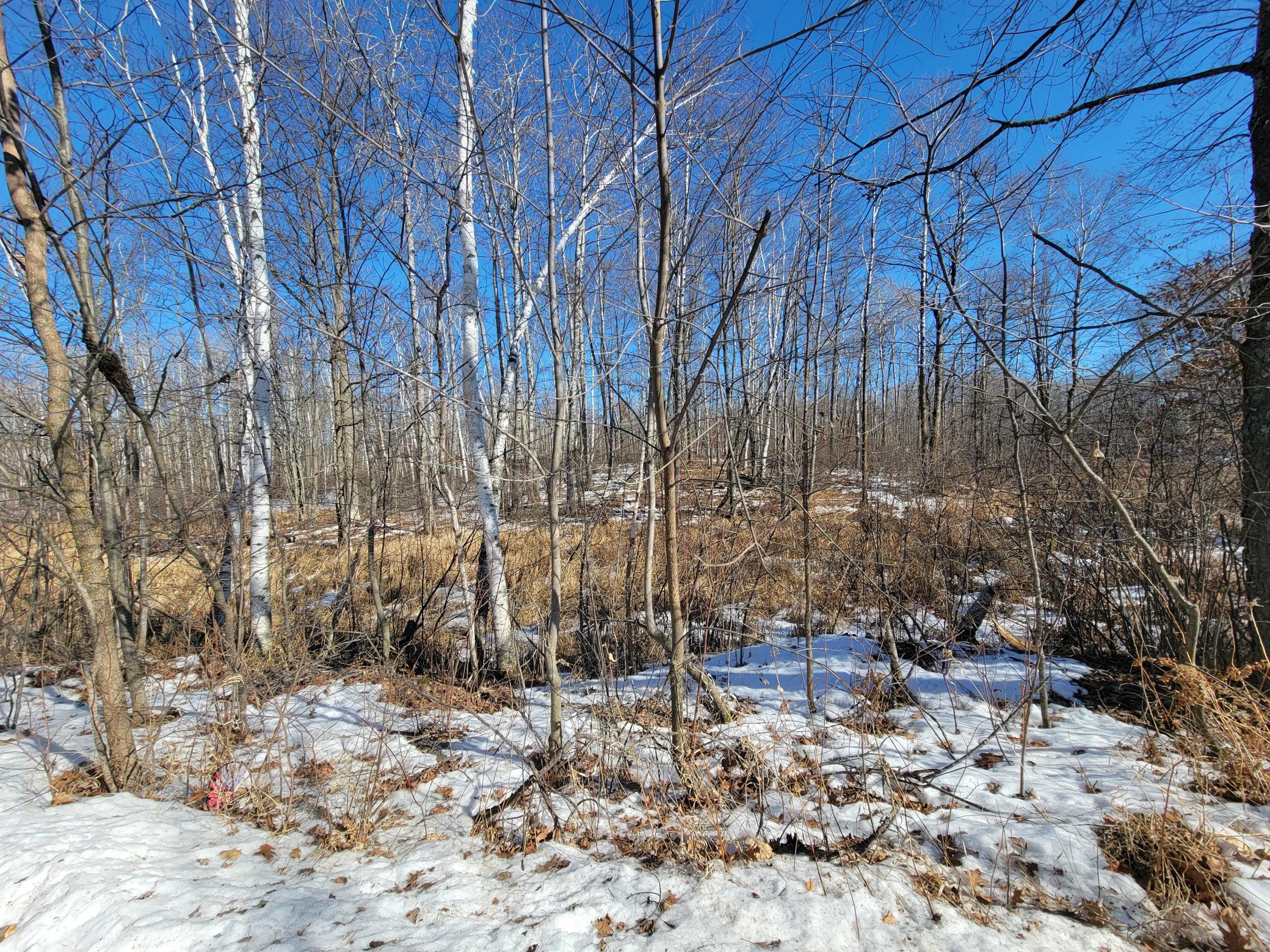 XXXX Meadow Lake Road, Motley, Minnesota image 9