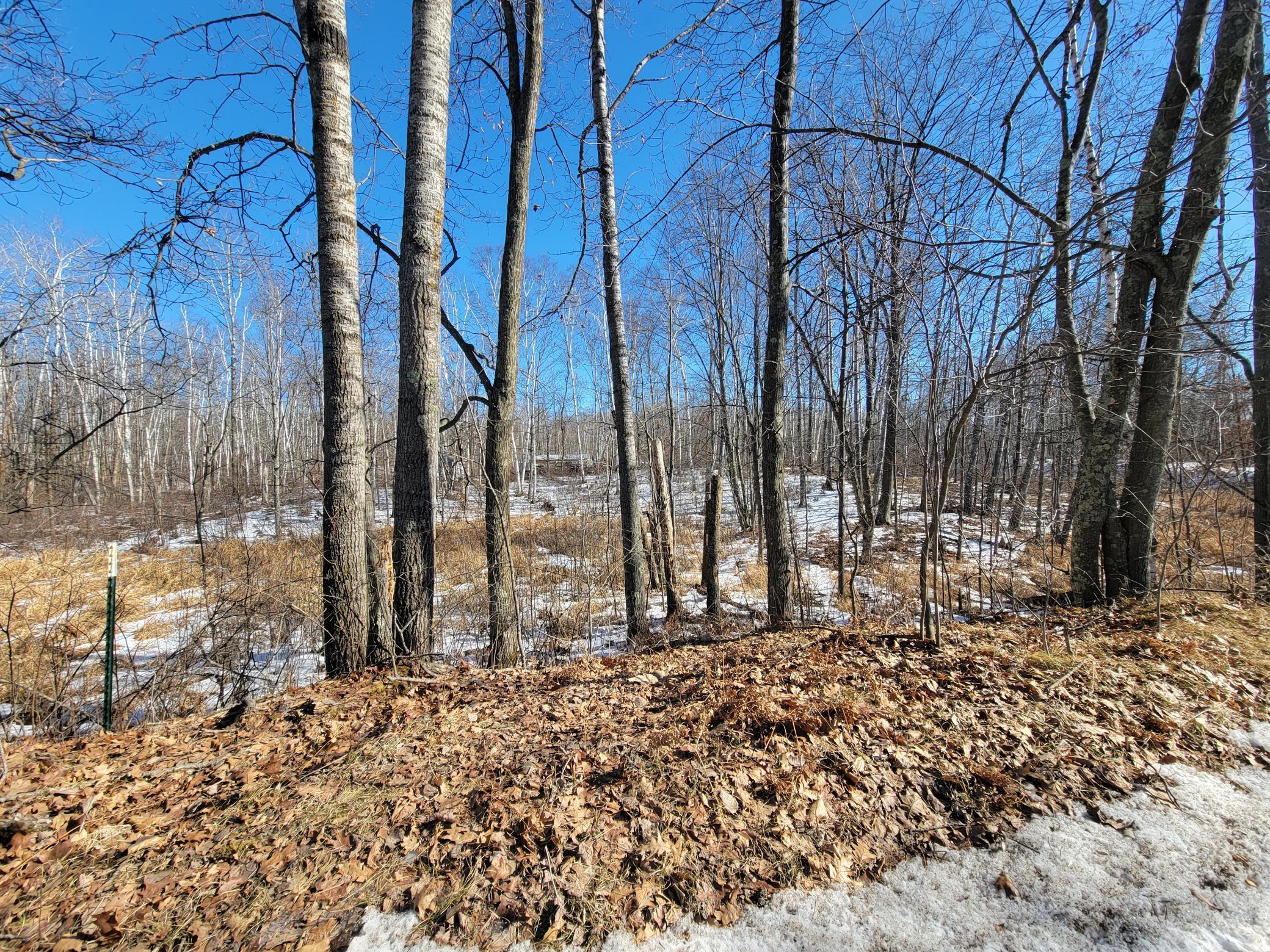 XXXX Meadow Lake Road, Motley, Minnesota image 10