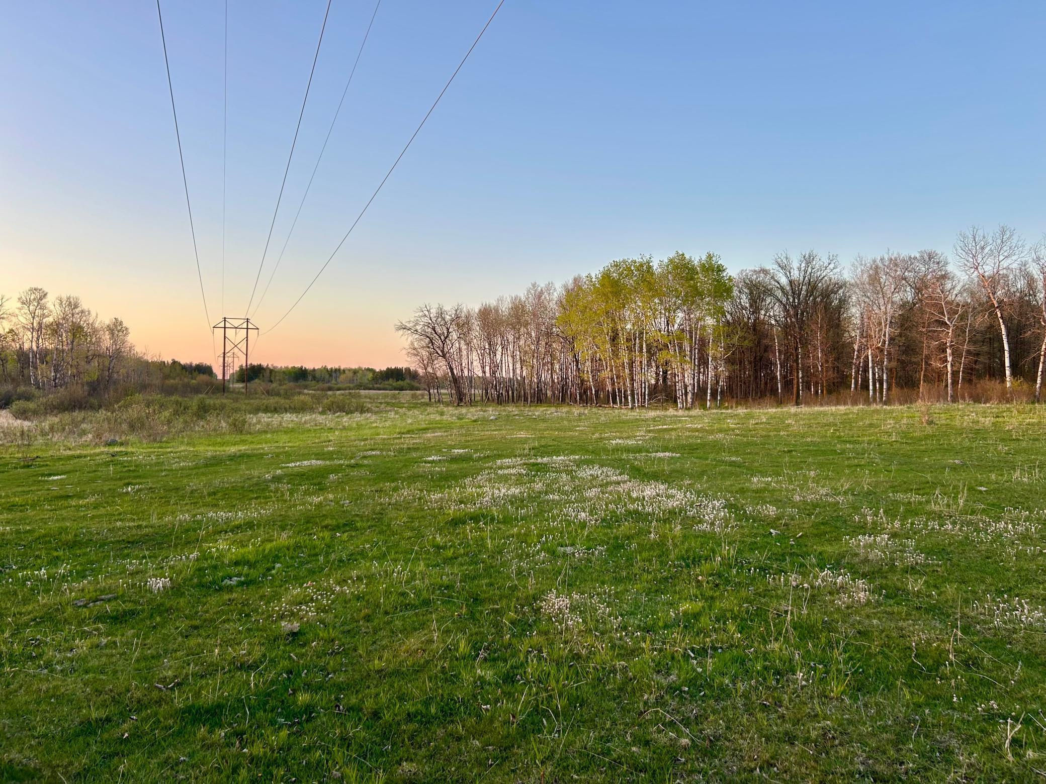 7210 79th Avenue, Staples, Minnesota image 31