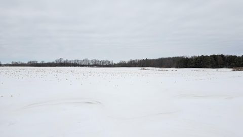 Vacant Land For Sale - TBD Park Trail<br/> Center City, MN 55012