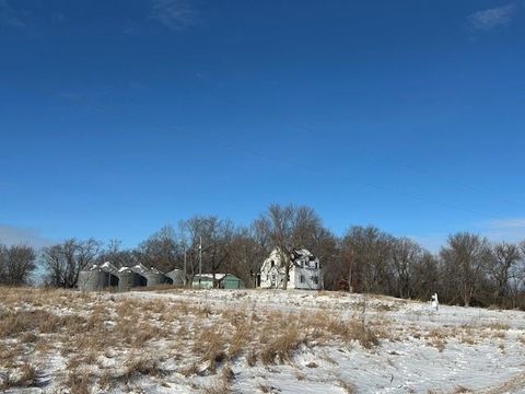 Homes For Sale - 1317 195th Avenue<br/> Lac Qui Parle County, Canby, MN 56220
