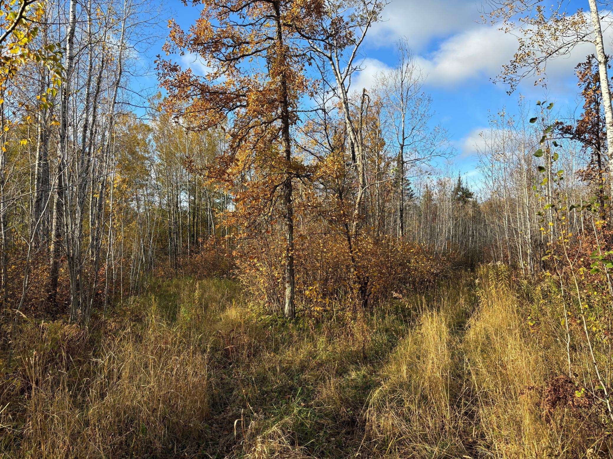 6930 Northeast Road, Wright, Minnesota image 15