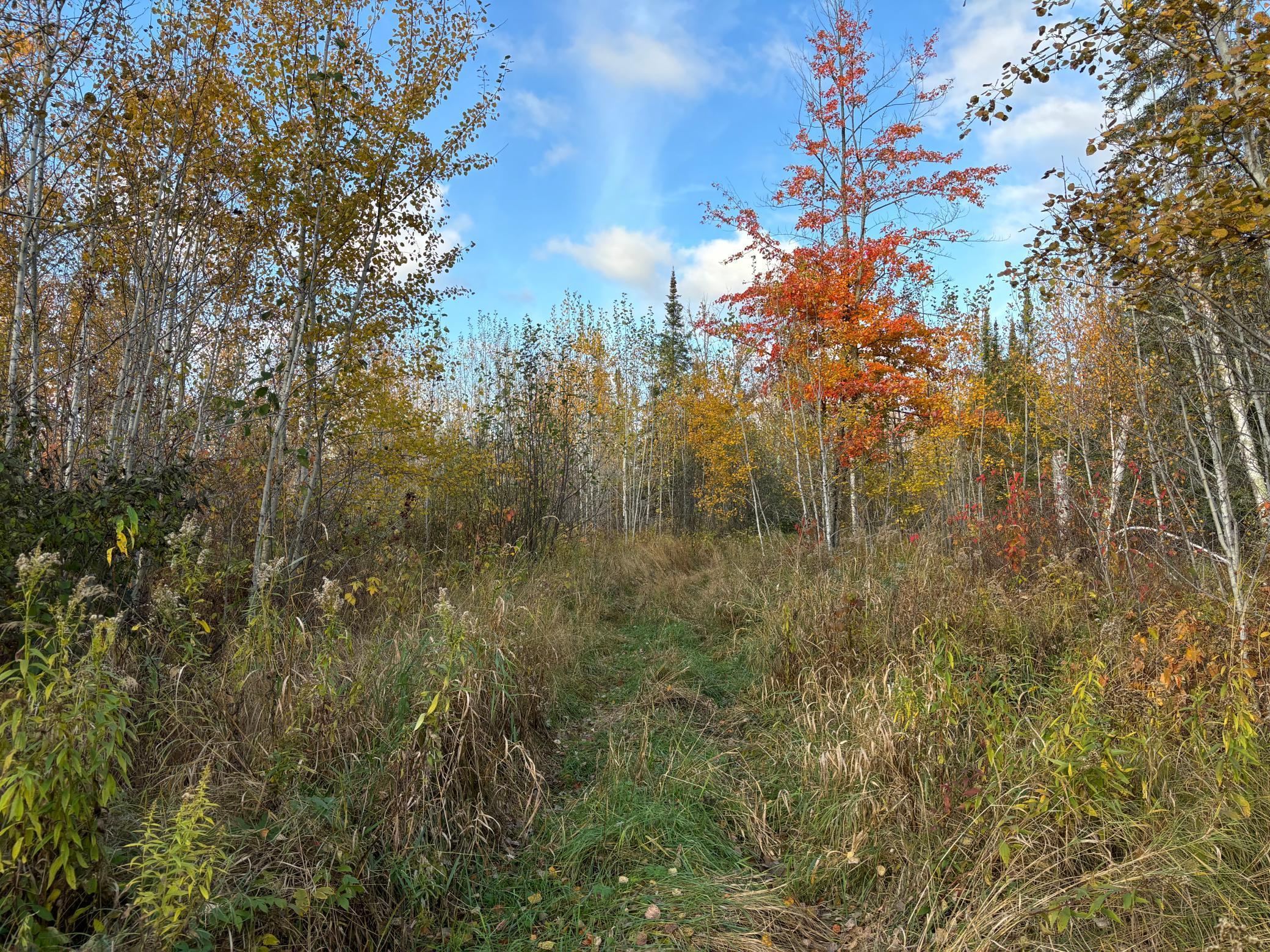 6930 Northeast Road, Wright, Minnesota image 12