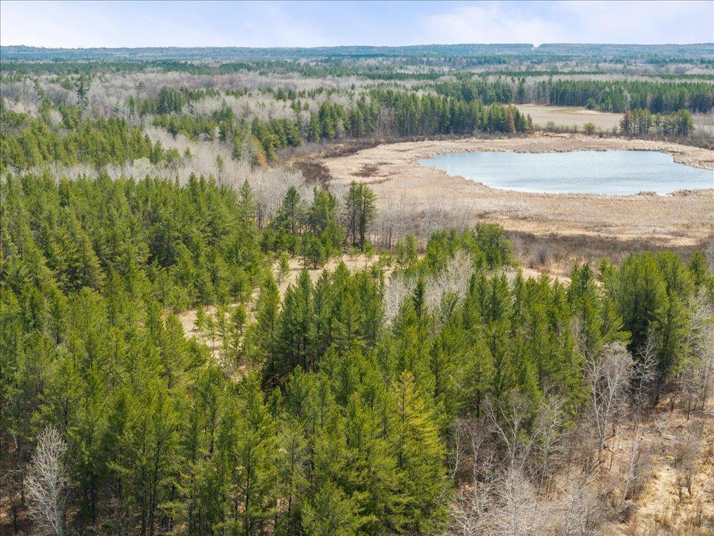1500 40th Street, Pine River, Minnesota image 17
