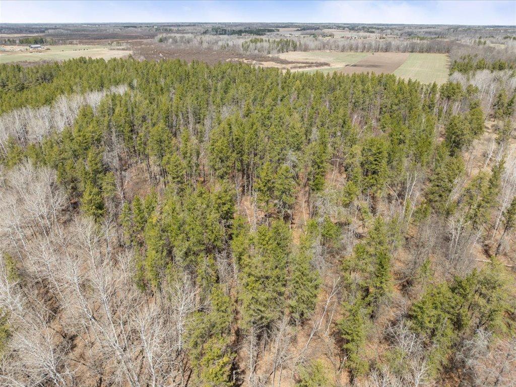 1500 40th Street, Pine River, Minnesota image 15