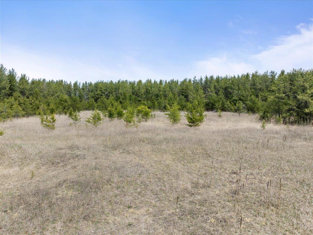 1500 40th Street, Pine River, Minnesota image 13