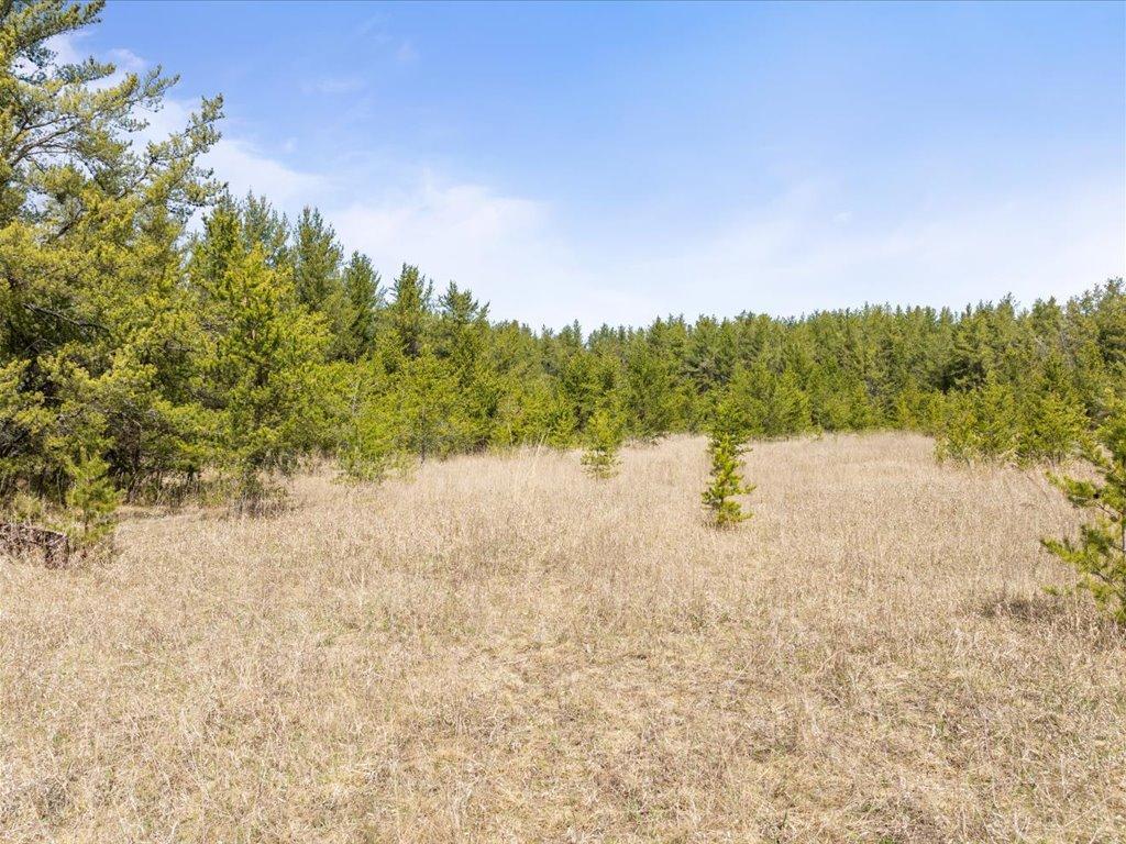 1500 40th Street, Pine River, Minnesota image 6
