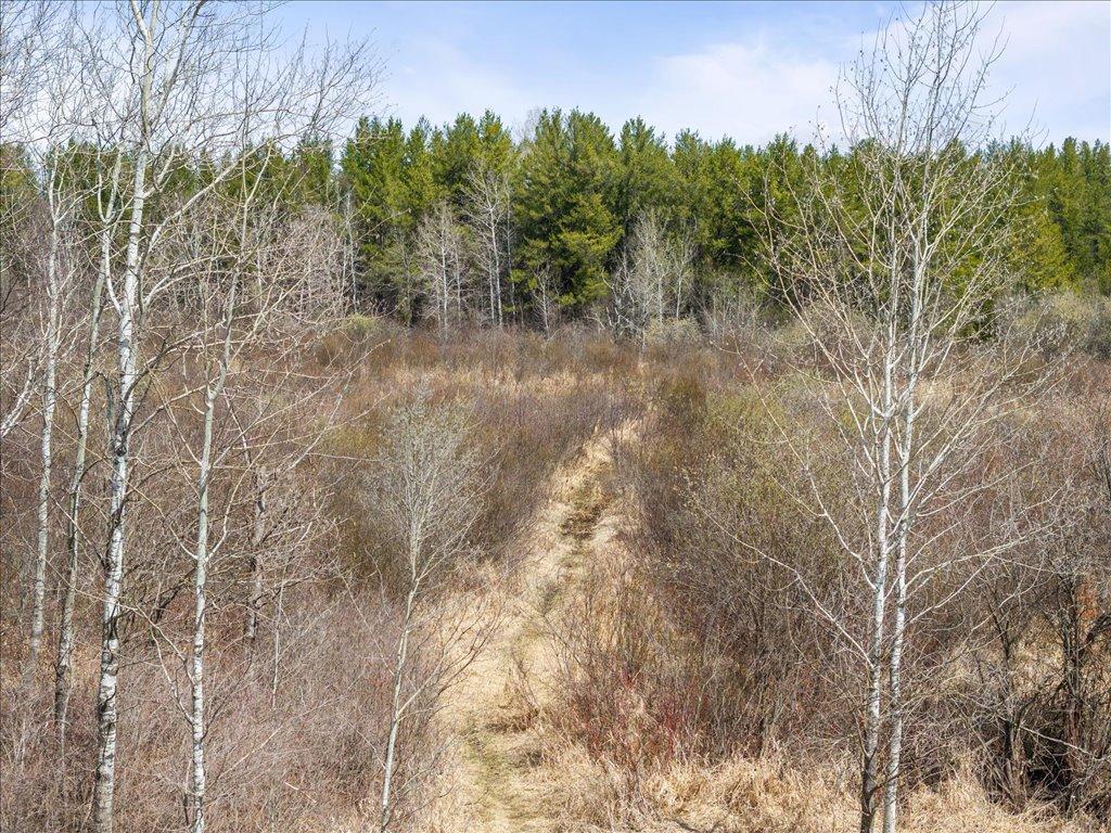 1500 40th Street, Pine River, Minnesota image 3