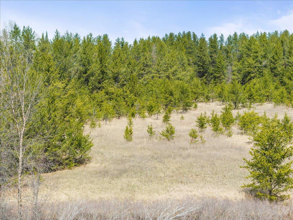 1500 40th Street, Pine River, Minnesota image 14