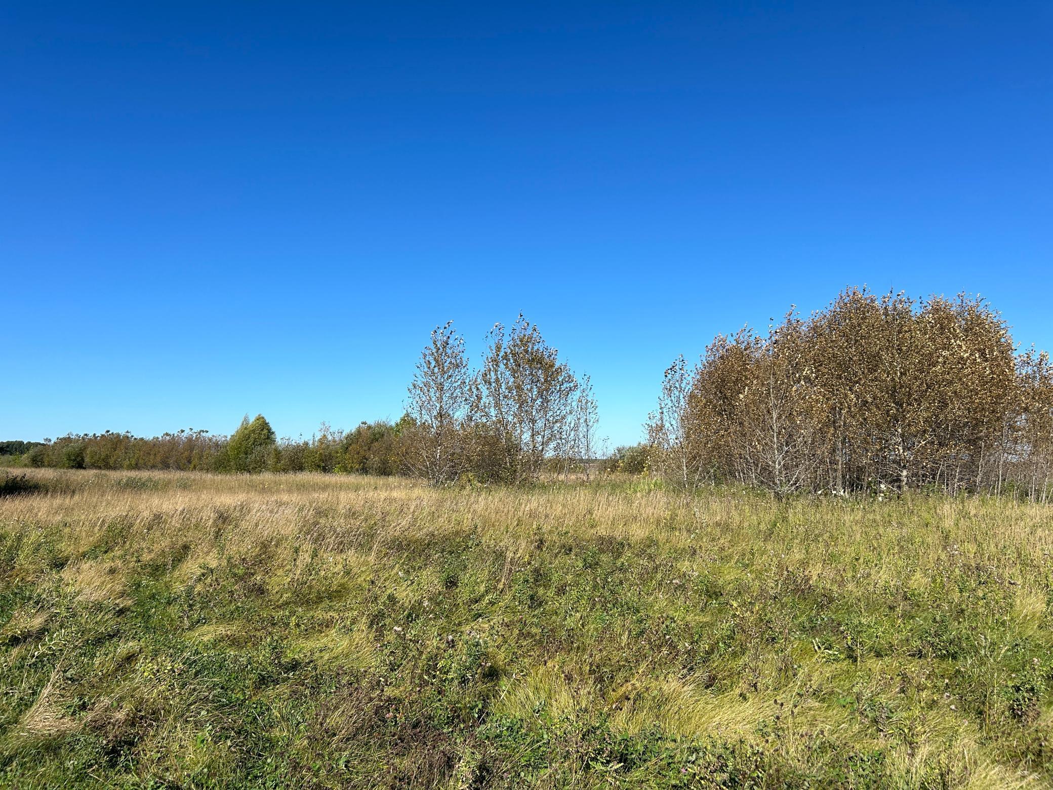 TBD 380th Street, Warroad, Minnesota image 19