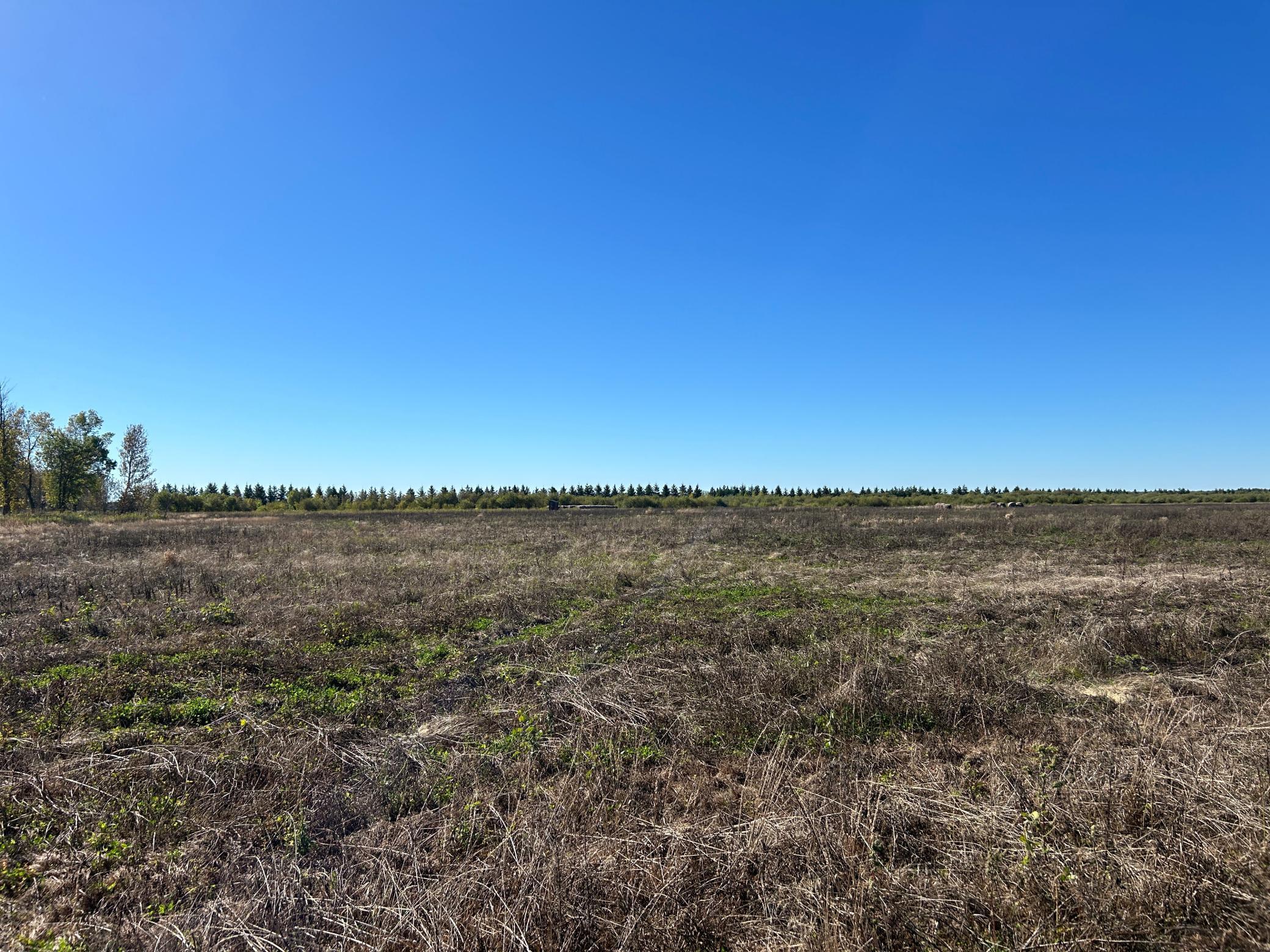 TBD 380th Street, Warroad, Minnesota image 12